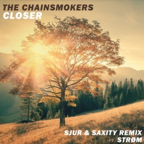 The Chainsmokers - Closer (SJUR x SAXITY Remix ft. Strom)